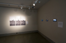Exhibition curated by J. Andrew Salyer